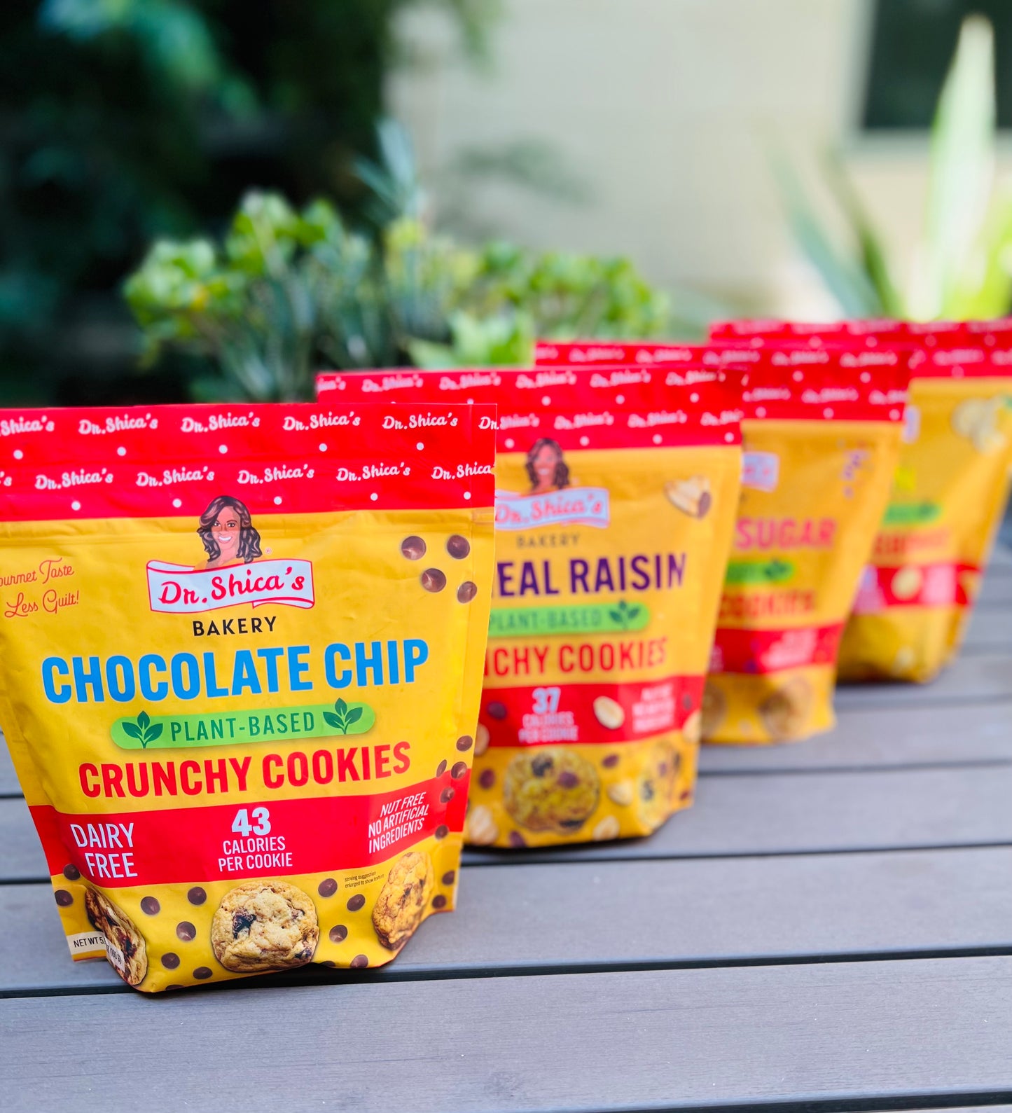 Plant-Based Snack Cookies (4 Pack- Try All 4 Flavors)