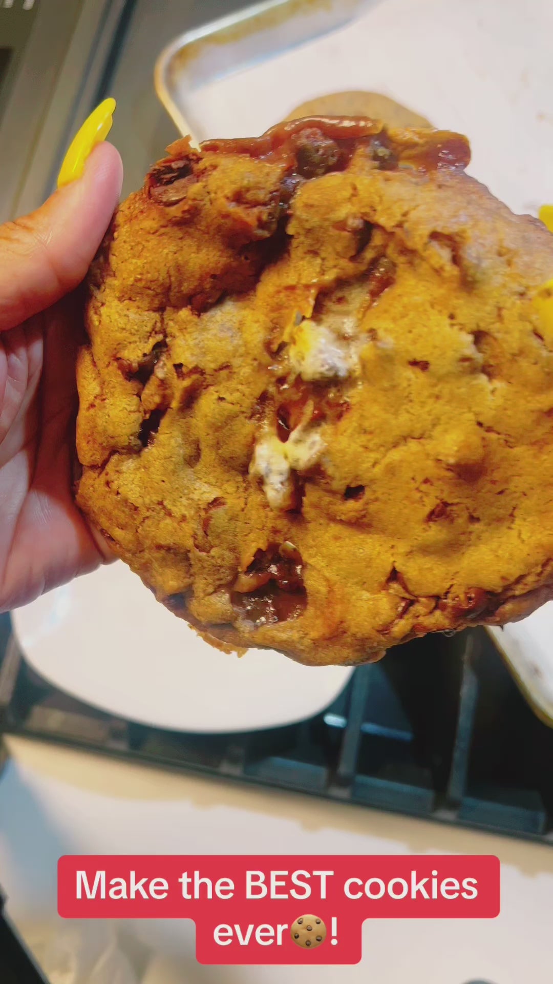 Vegan Cookie Mixes- 2 Pack (Free Shipping)- Chocolate Chip & Sugar